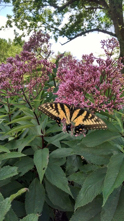 Photos of Fischers Park
