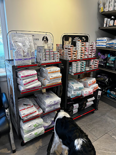 East Hants Animal Hospital - Thumbnail