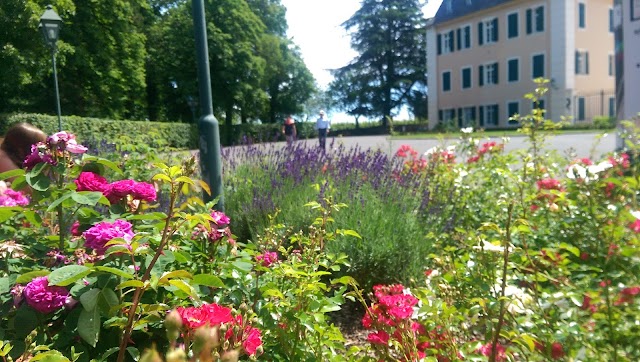 Johannisberg Castle