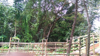 Photos of Base Camp SPR Mega Jaya