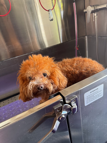 Ivana's Dog Grooming