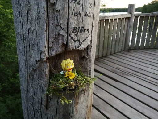 Aussichtspunkt Opfinger Baggersee - Thumbnail
