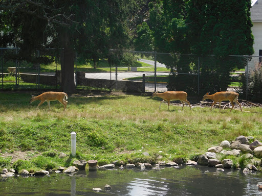 Ochsner Park Zoo - Thumbnail