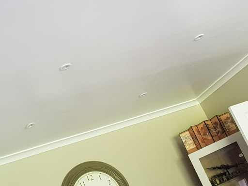 Levey's Electrics