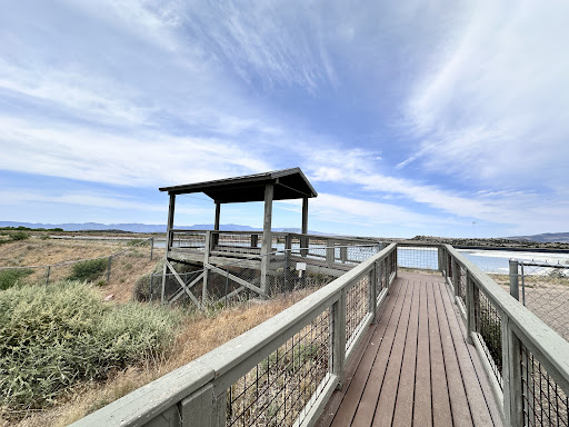 Sedona Wetlands Preserve - Thumbnail