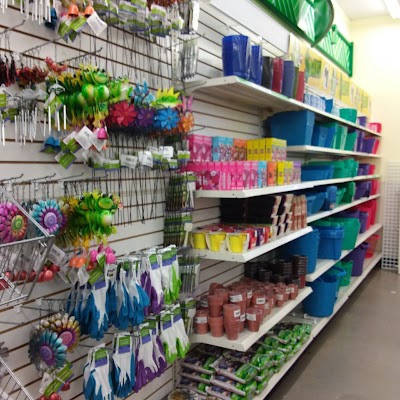 Dollar Tree