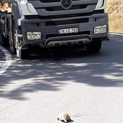 ÇERKEŞ HAZIR BETON