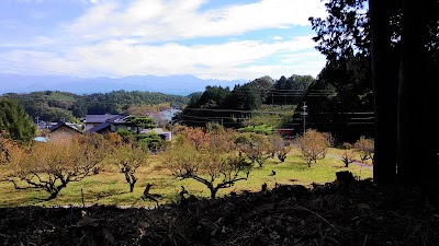 Photos of Izukihachimangu