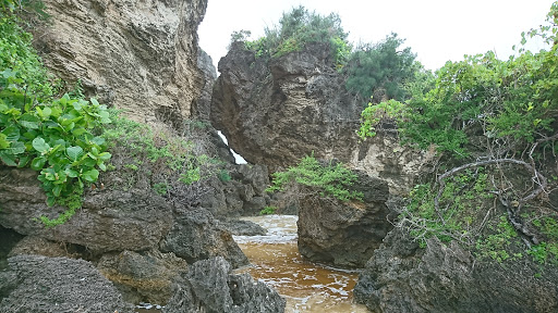 Oyster Beach (Lurrupukurru) - Thumbnail