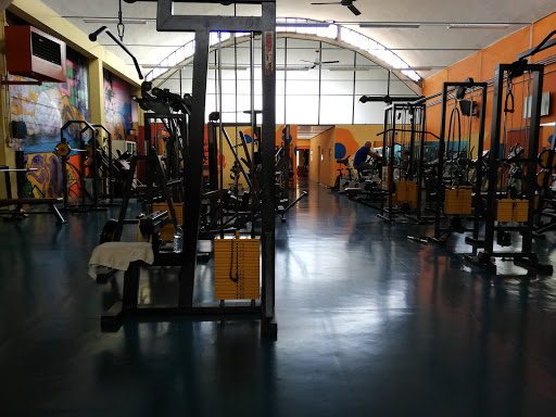 Palestra Alterego - Visual