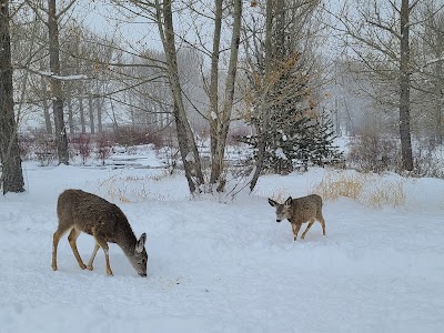 Washoe Park