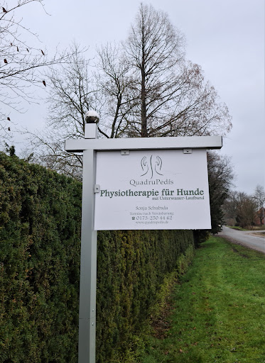 hundephysio-boho, Sonja Schubsda :Borstel-Hohenraden, UNTERWASSERLAUFBANDTHERAPIE,Hundephysiotherapie - Thumbnail