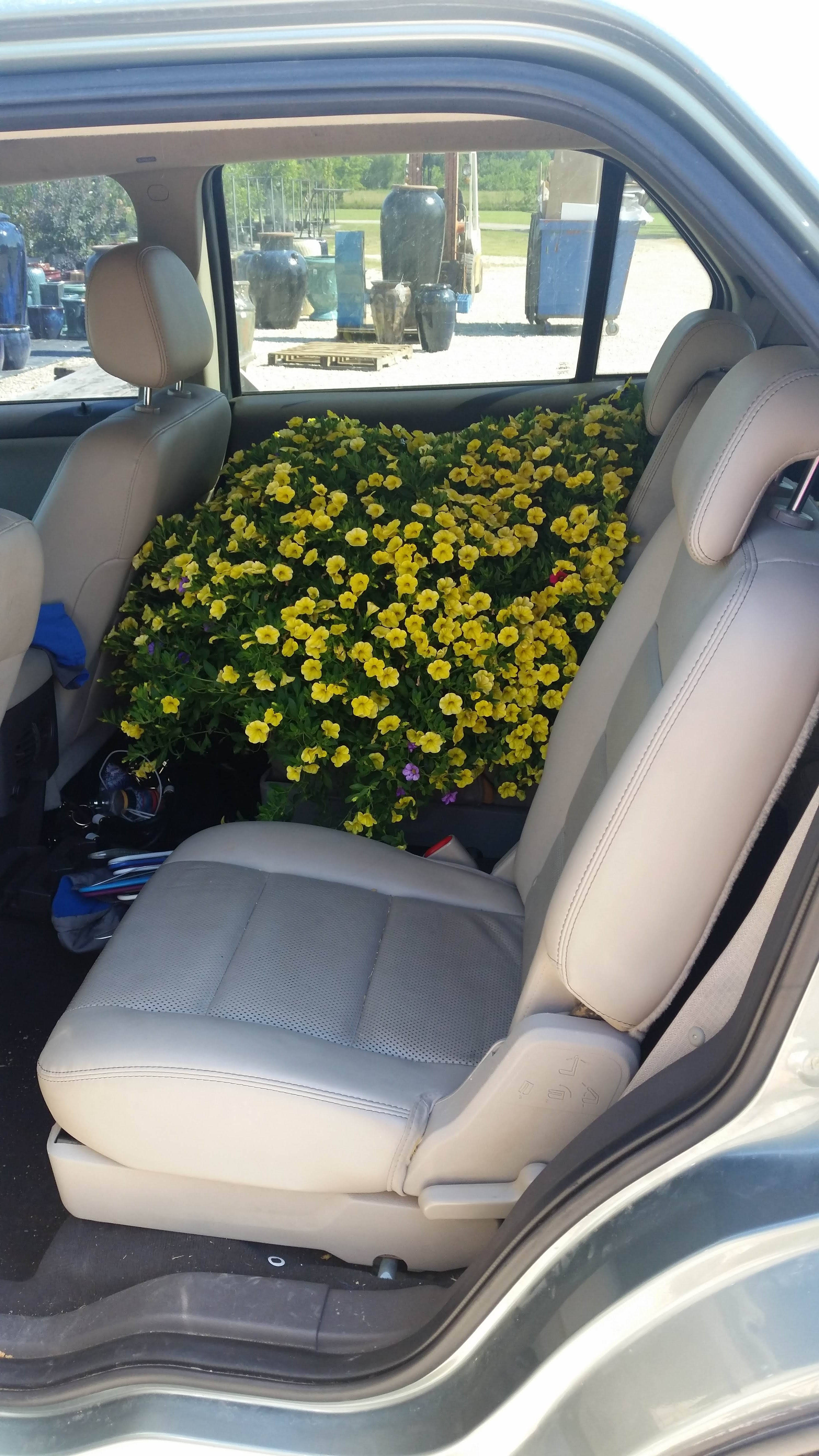 Pryor Creek Nursery