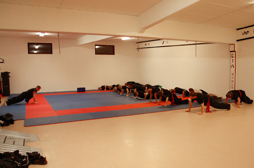 Ljungby Kung Fu - Thumbnail