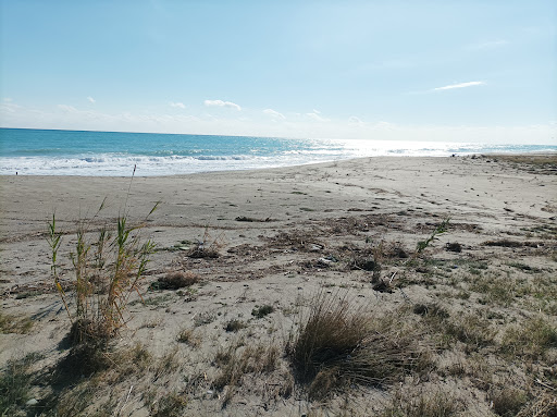 Spiaggia Pellegrina di Siderno - Thumbnail