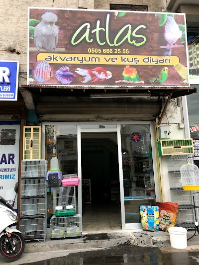 ATLAS AKVARYUM KUŞ DİYARI