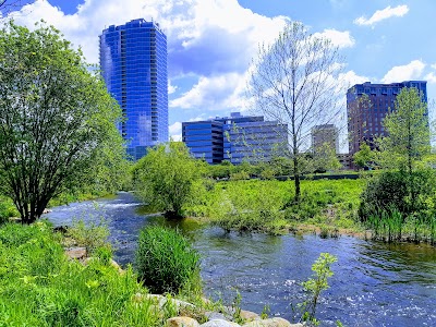 Mill River Park Collaborative