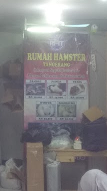 RUMAH HAMSTER TANGERANG, Author: RICHIE MTH