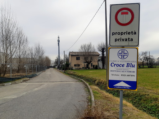 Croce Blu dott. Mauro Gavioli Clinica Veterinaria - Thumbnail