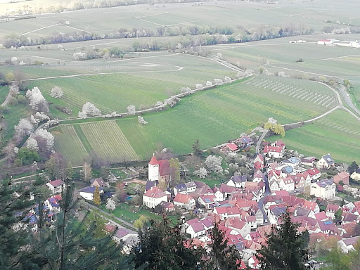 Rastplatz Vorderpfalzblick - Thumbnail