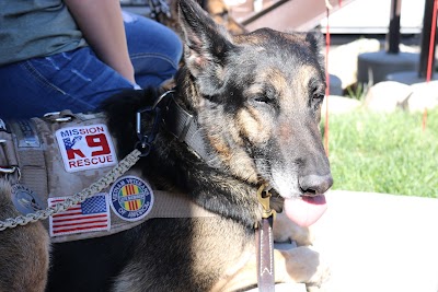 Wasatch Hollow Animal Hospital