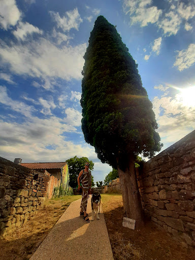 Parcheggio di Porta del Ponte - Thumbnail
