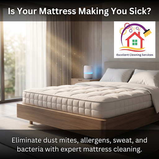 🏠 Say goodbye to dust mites hiding in your mattress.   post image