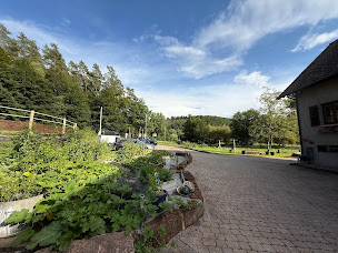 Photo n°42 de Domaine équestre du Trèfle d'Or, Gîte et Chambres d’hôtes à Soucht (Hôtel)