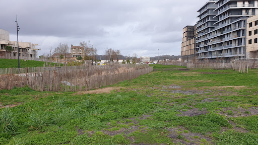 Ars Garden - Thumbnail