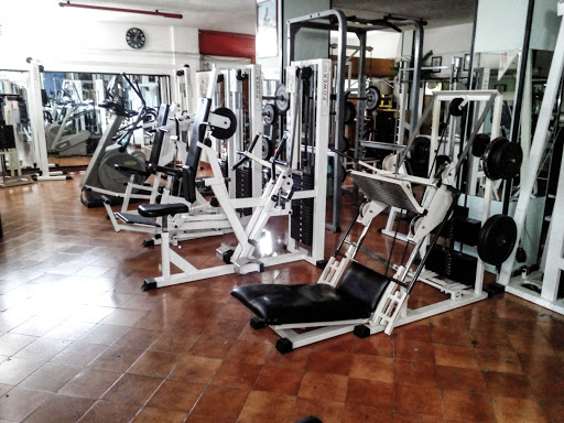Ghepard Gym - Thumbnail