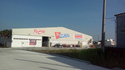 CeVe Barcel Boca del Río Logo