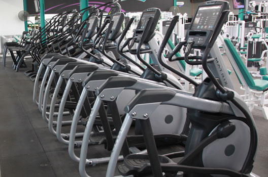 Pro-Fitness Plus photo 16