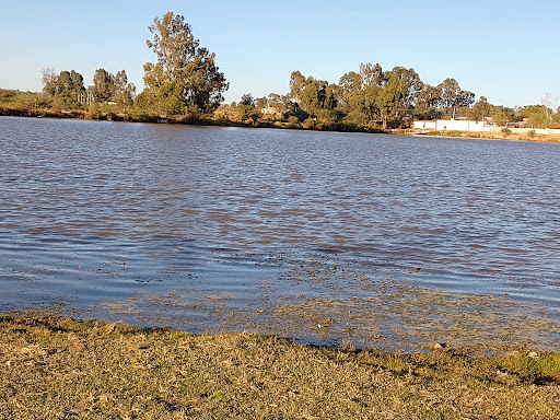 Laguna del Carretero Logo