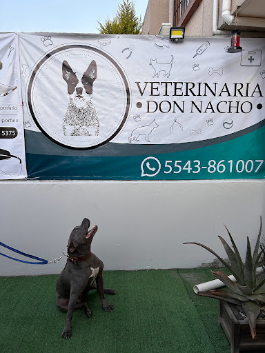 Veterinaria Don Nacho