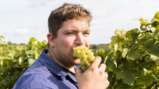 Weingut Wittmann - Thumbnail
