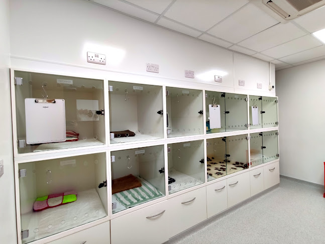 Werrington Vets - Peterborough