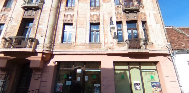 Opinii despre LELIOARA PREST S.R.L. în Brașov - Școala de șoferi