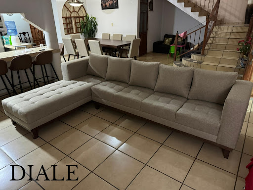 DIALE - Visual