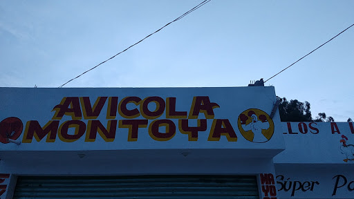 Avicola Montoya - Thumbnail