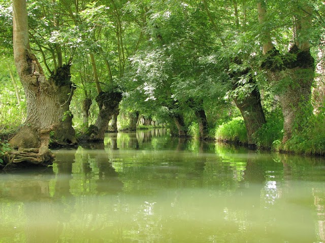 Maison du Marais poitevin