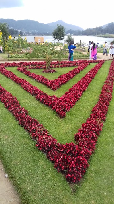 Photos of Gregory Park 2