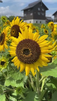 クラインガルテン妙高