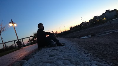 Photos of Parka semele