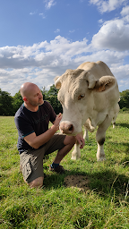 Photo n°4 de Boucherie Denieul Didier à Iffendic (Charcuterie)