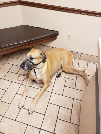 Dupont Veterinary Clinic