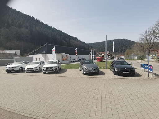Haag GmbH 1a Autoservice - Thumbnail