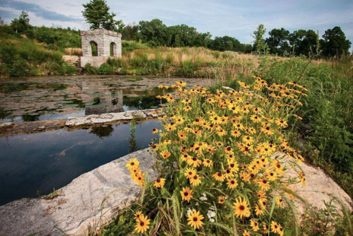 Coldwater Spring