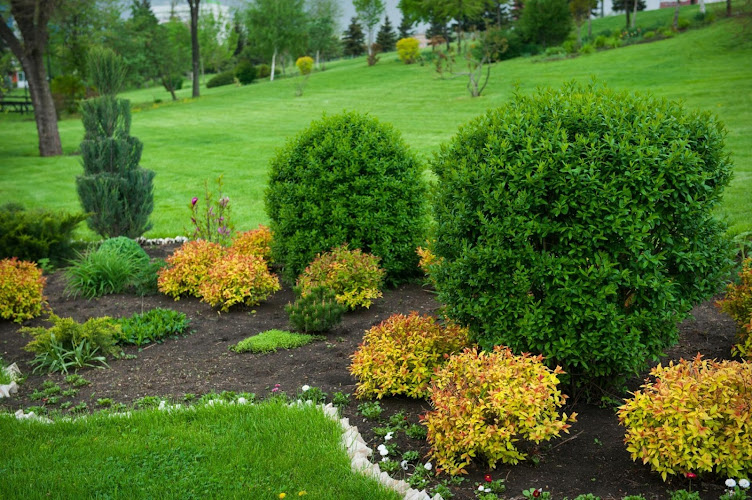 Icon Landscaping work photo 1