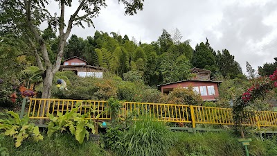 Photos of Eco Park Tejares - Villamaria