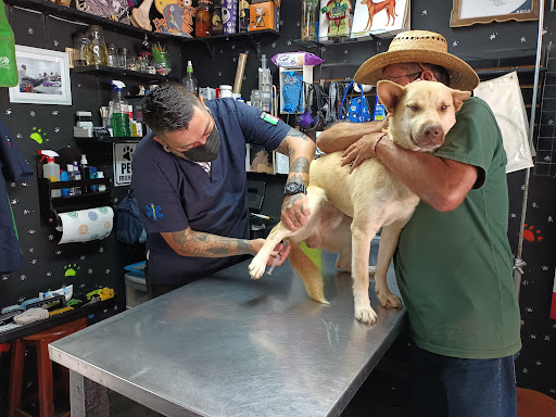 Black Wolf Servicios Veterinarios - Thumbnail